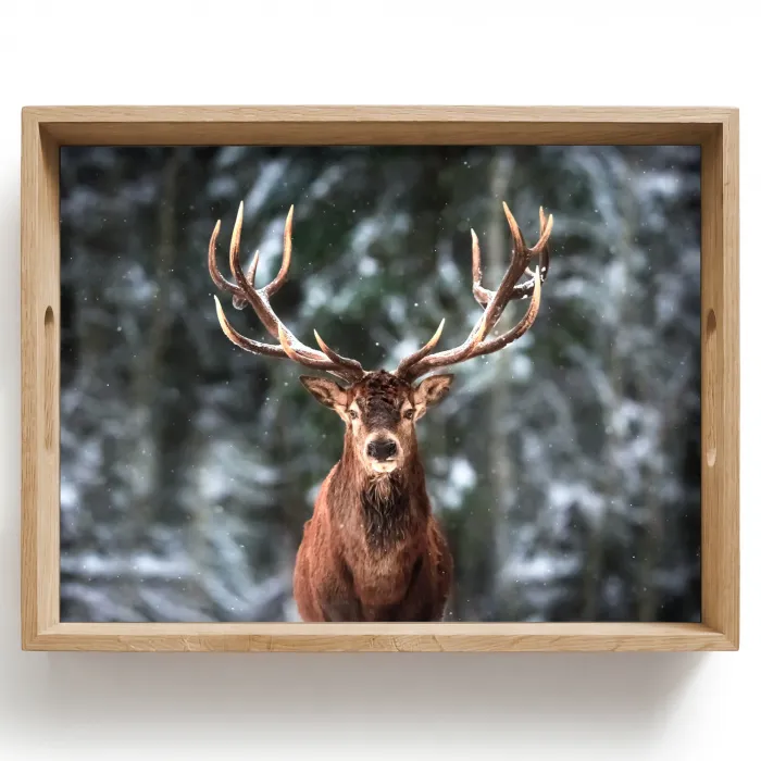 Hert - Winter - Sneeuw - Bos - Natuur - Dier Dienblad Rechthoek middel -z3d_shopping