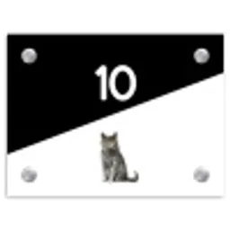 Zwart wit - Huisdier - Grijze kat Naambord Rechthoek middel -3d