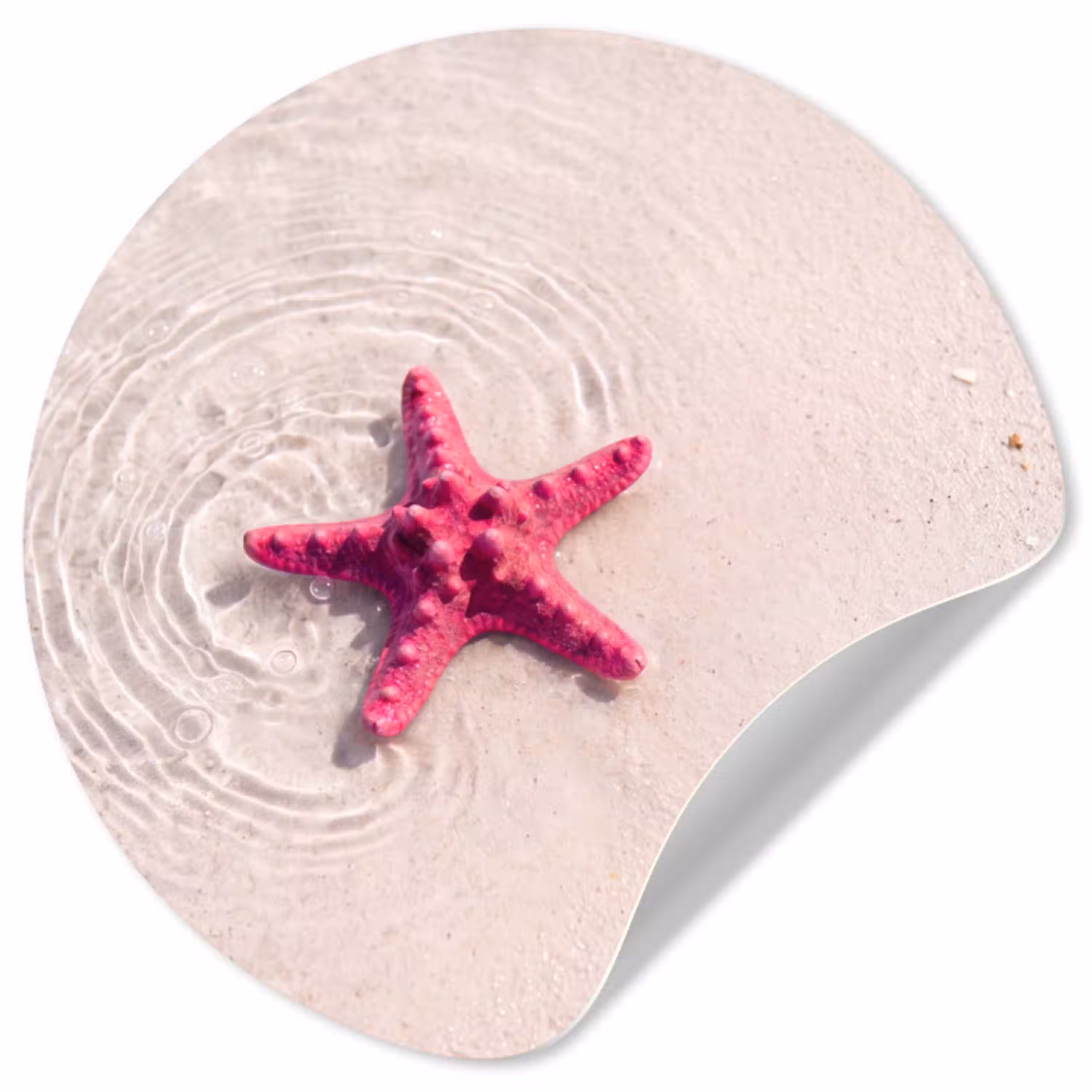 Zeeleven - Zeester - Strand - Roze - Water Wandcirkel behangsticker klein -3d