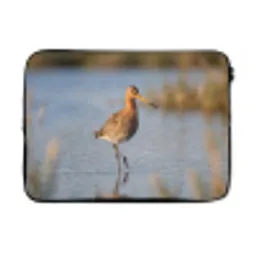 Vogel - Steltloper - Water - Natuur laptophoes neopreen klein -3d