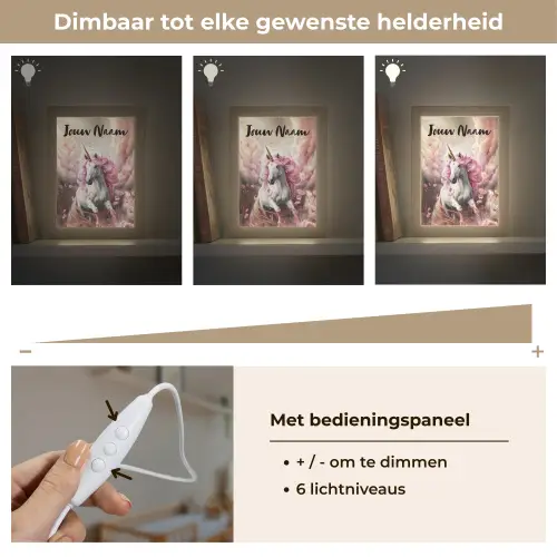 Eenhoorn - Meisje - Roze - Bloemen - Sprookje Light Box met kabel (Kinderlampje) klein -USP_dimbaarNL