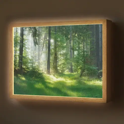 Natuur - Bomen - Bos - Groen - Zon - Gras - Planten Light Box met batterij (Wandlamp) middel -z3d_website