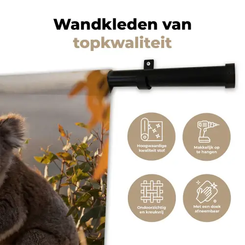 Koala - Bladeren - Ochtendlicht Wandkleed katoen klein -sfeer2