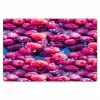 Frambozen - Waterdruppels - Vruchten Placemat vinyl groot 368 -zzsfeer1_Kitchenyeah-website