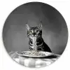 Bengaal - Kat - Tafelkleed - Zwart - Wit - Dier KitchenYeah - Keuken - Wandcirkel Forex klein -3d