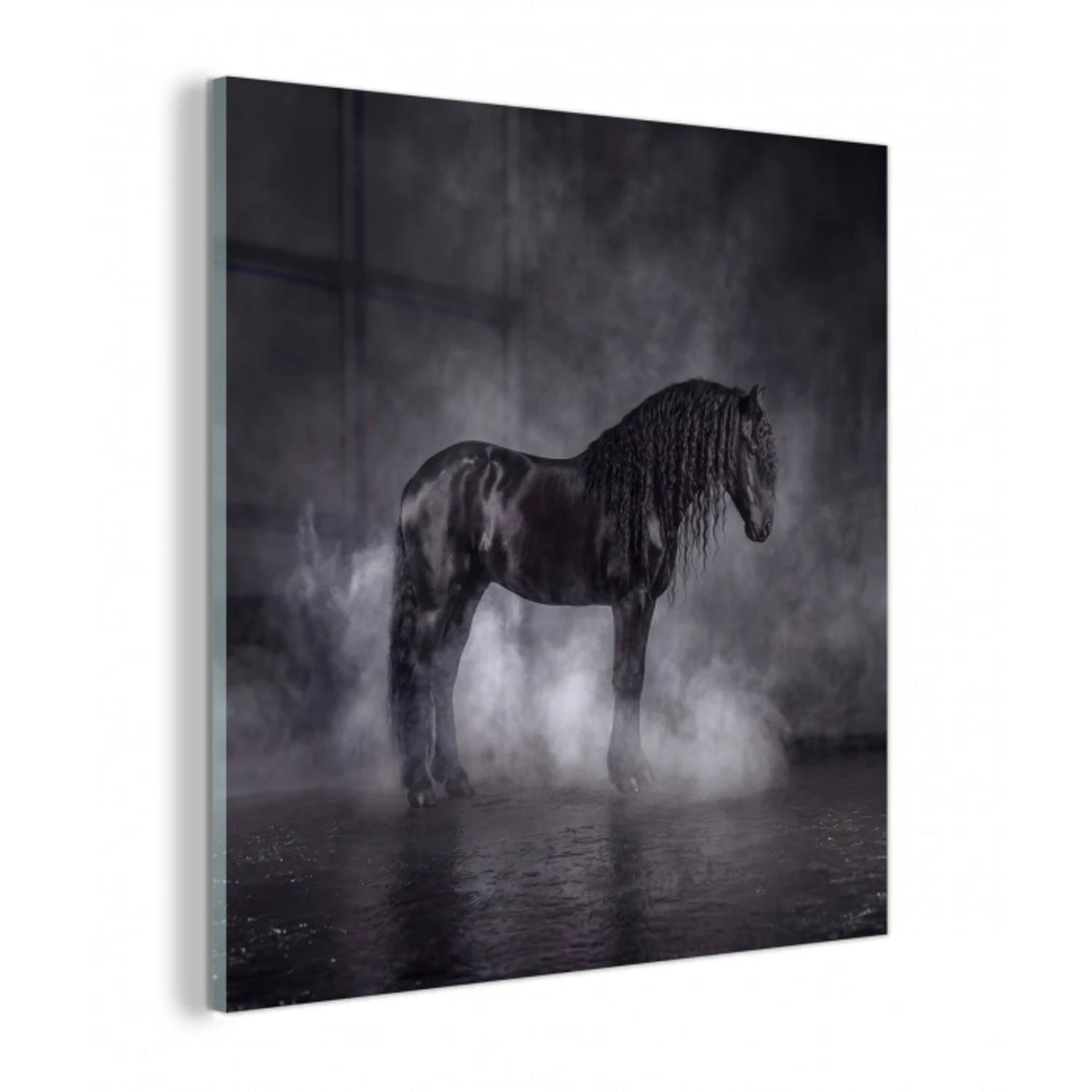 Paard - Magisch - Zwart plexiglas 5mm klein -z3d