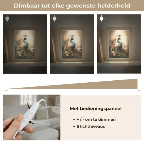 Pauw - Pauwenveren - Bloemen - Vogels - Botanisch Light Box met kabel (Tafellamp) klein -USP_dimbaarNL