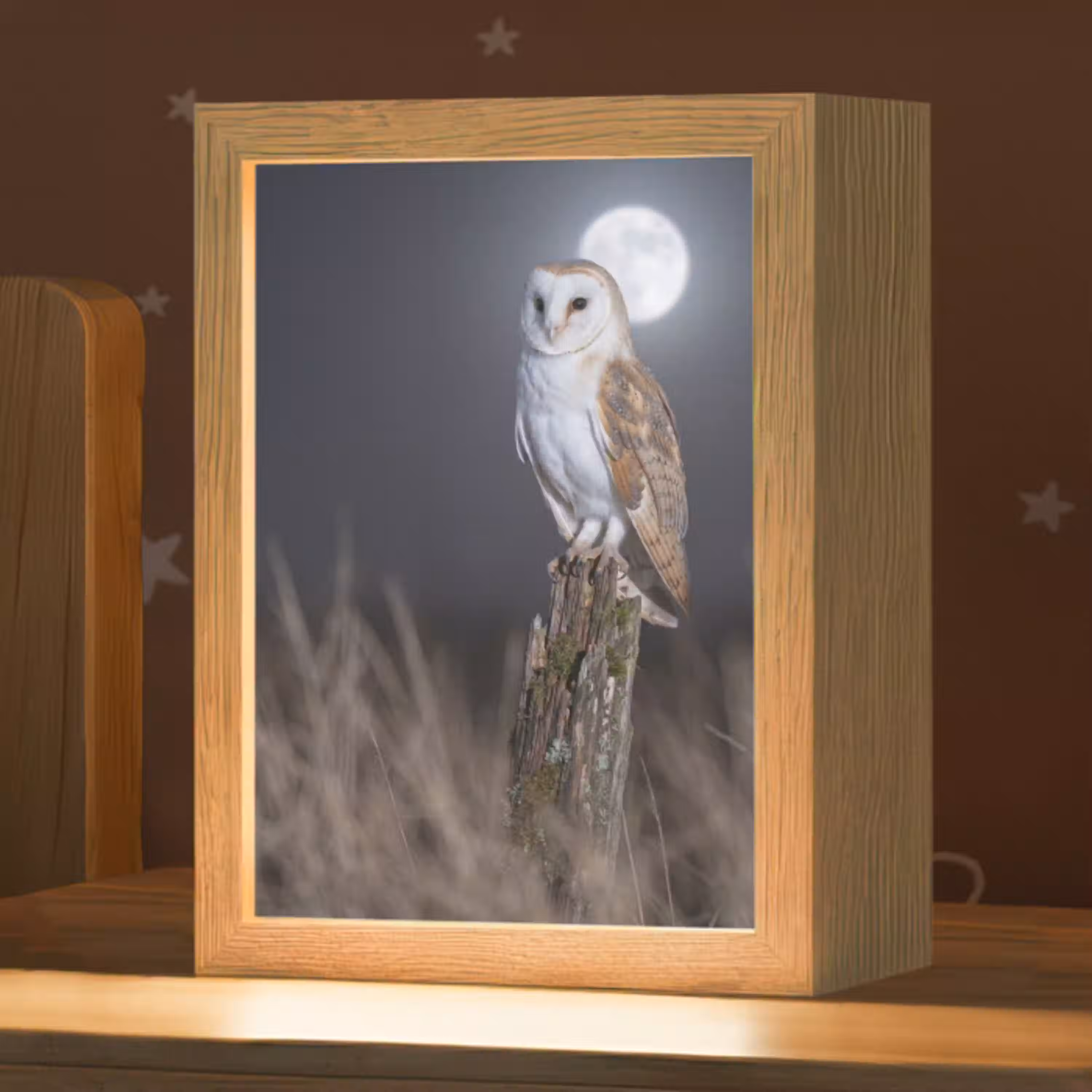 Kerkuil - Maan - Nacht Light Box met kabel (Kinderlampje) klein -zzz_3d_website