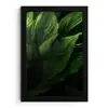 Bladeren - Schaduw - Groen - Textuur fotolijst zwart zonder passe partout klein -3d