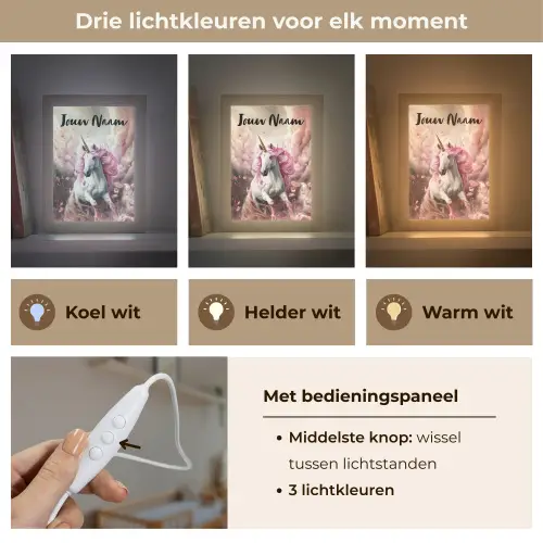 Eenhoorn - Meisje - Roze - Bloemen - Sprookje Light Box met kabel (Kinderlampje) klein -USP_lichtkleurNL