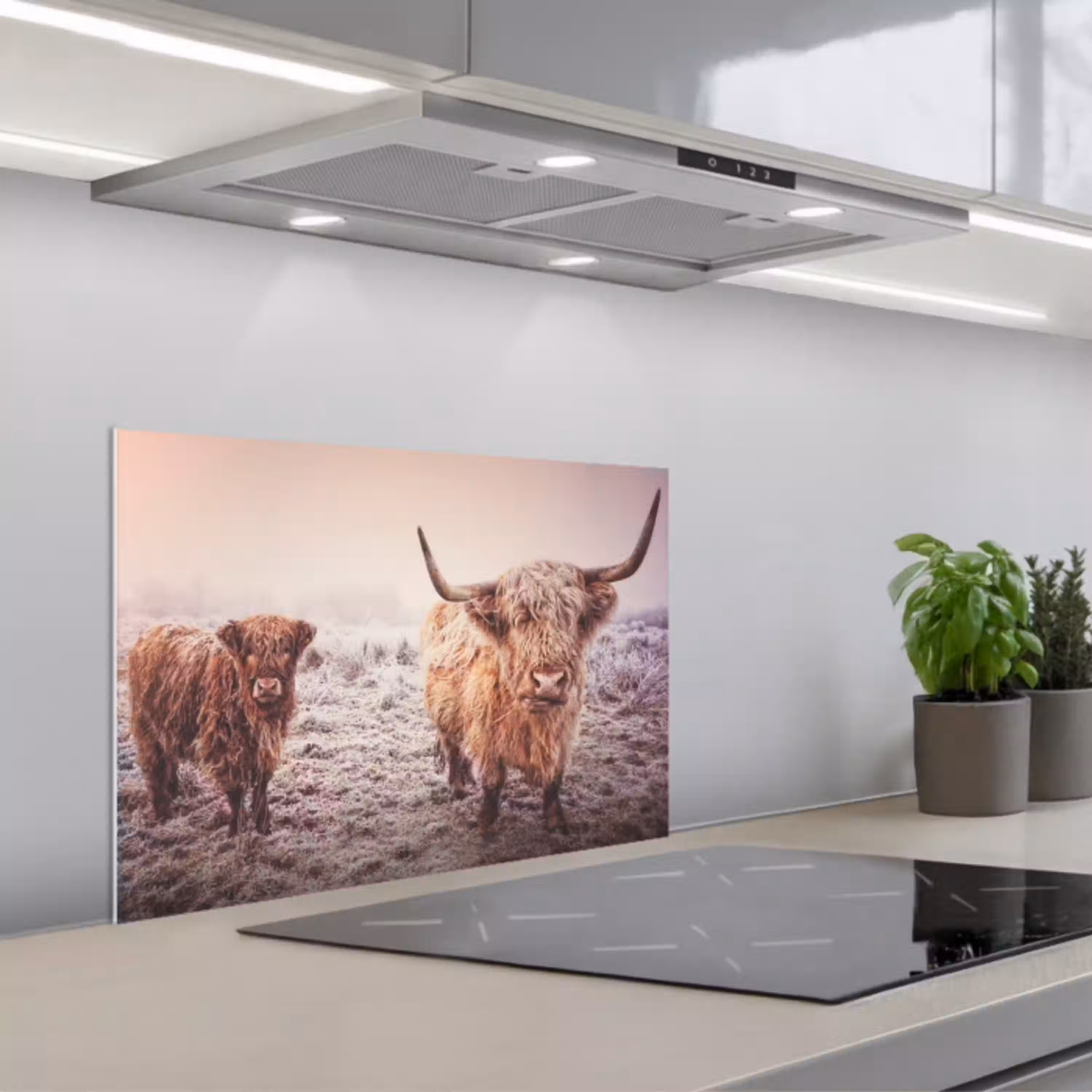 Schotse Hooglanders - Sneeuw - Zon keuken achterwand spatscherm klein -3d_schuin