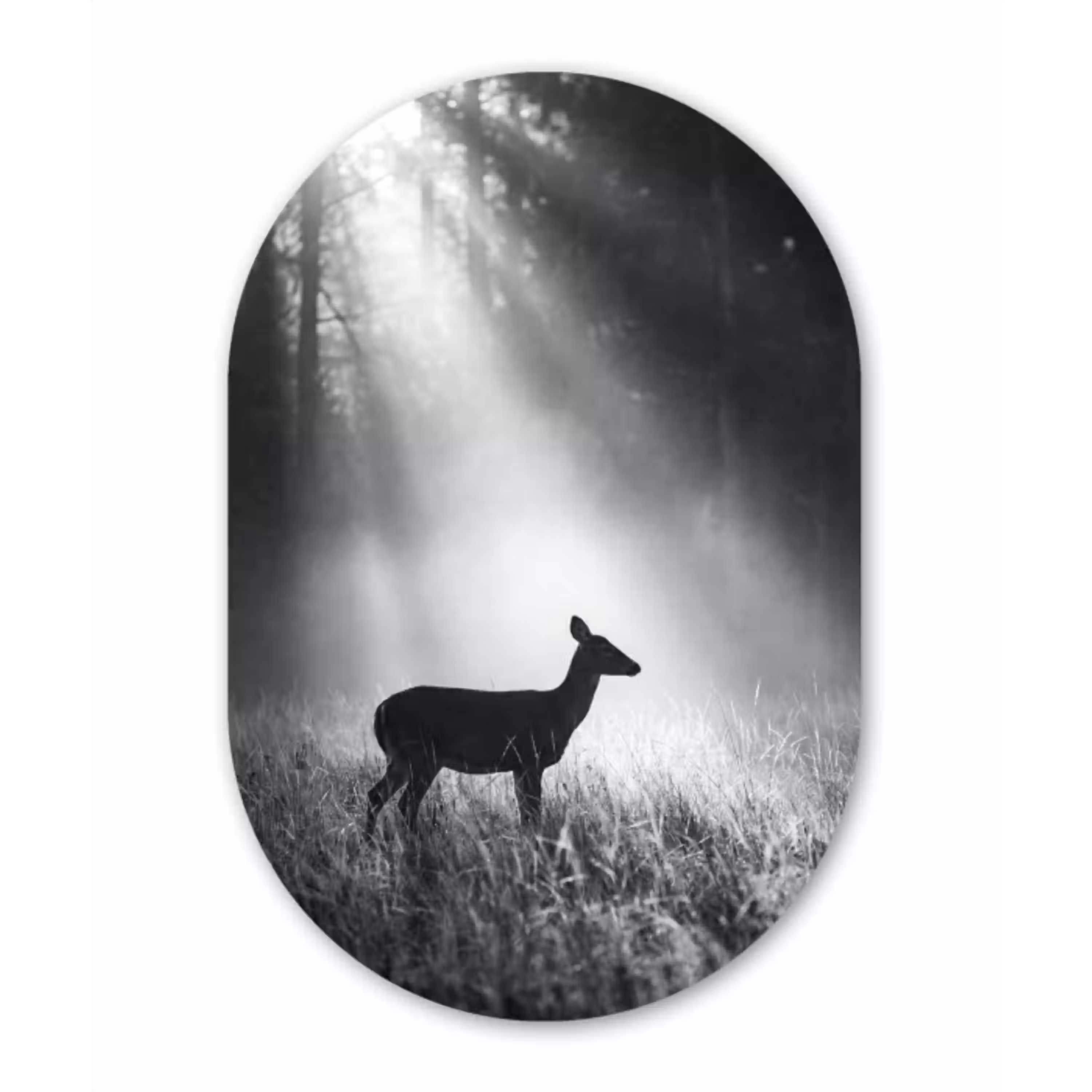 Hert - Bos - Zonnestralen - Zwart-wit - Natuur Wandcirkel Ovaal Aluminium middel -3d