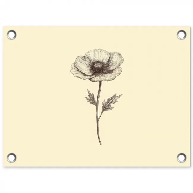 Klaproos - Illustratie - Zwart tuinposter los doek klein -3d