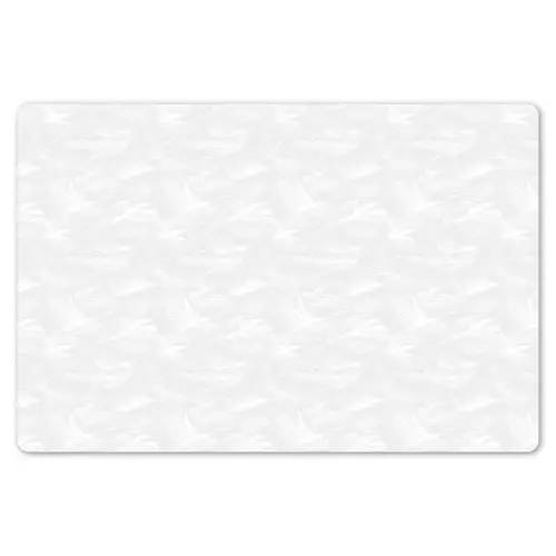 Licht - Kraanvogels - Wit Placemat vinyl groot 368 -zzsfeer1_Kitchenyeah-website