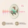 Schubben - Vis - Mint - Minimalistisch Akoestische PET Vilt - Rond klein -USP_NL