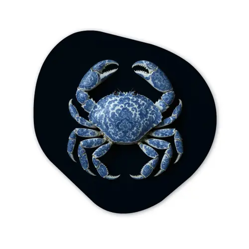 Krab - Delfts blauw - Dieren Wandcirkel Organisch Forex 3mm klein -3d