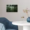 Regenwoud - Tropisch - Jungle - Bomen - Planten poster papier klein -sfeer3