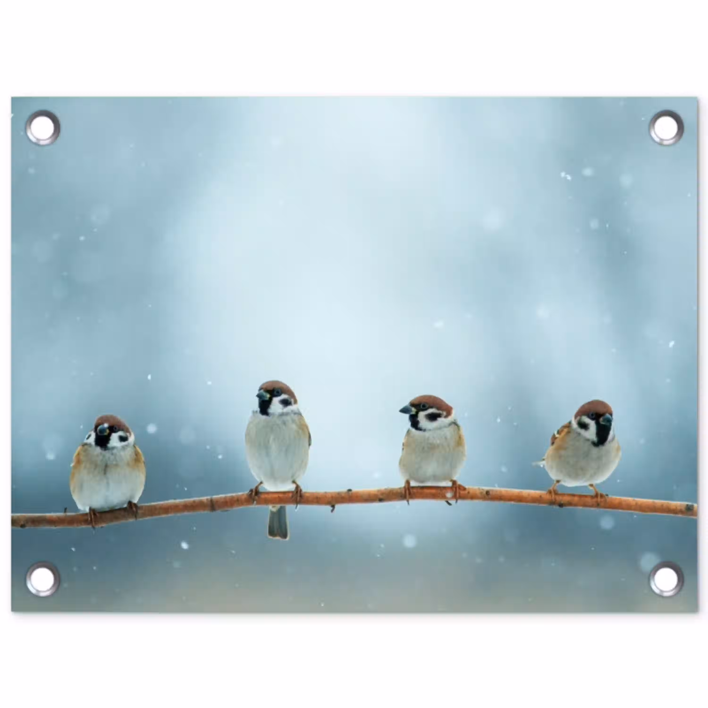 Mussen in de Sneeuw tuinposter los doek klein -3d