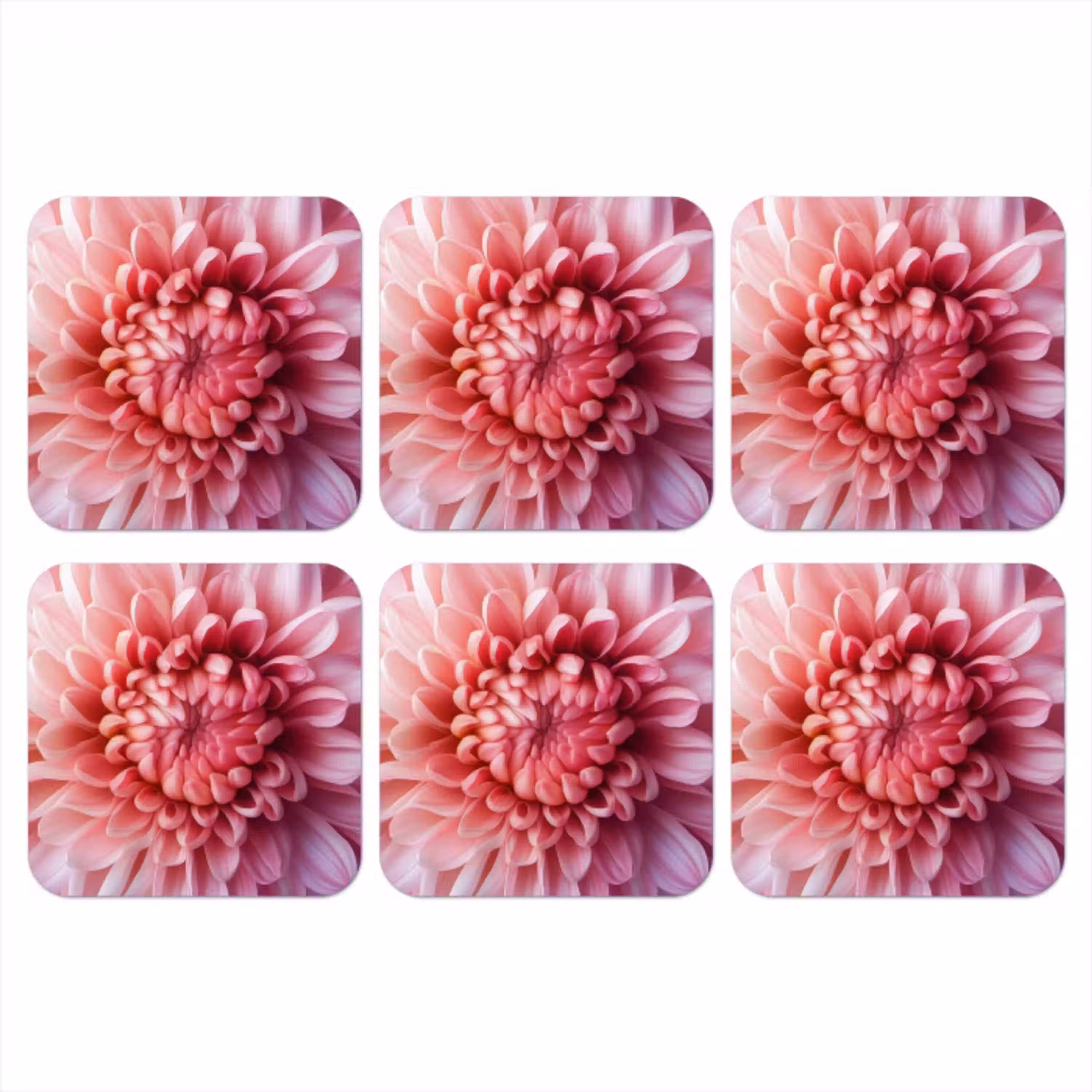 Dahlia - Bloem - Close up - Roze onderzetter kurk middel -3d