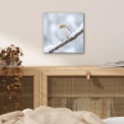 Vogeltje - Sneeuw - Tak - Winter - Zacht aluminium wit klein -sfeer3