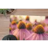 Bloemen - Paars - Bijen muismat rubber klein -closeup