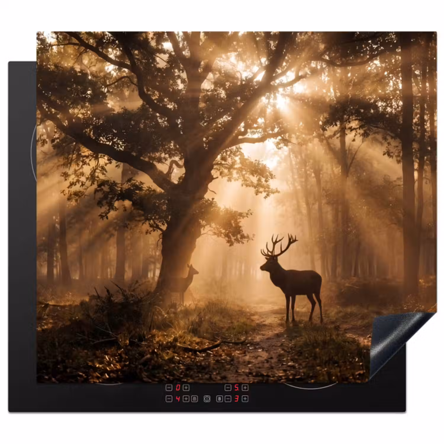 Inductie beschermer - Hert - Bos - Mistig - Natuur - Goud