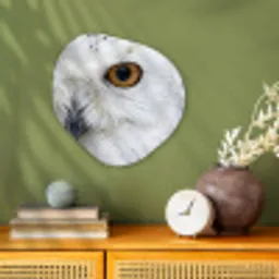 Sneeuwuil - Oog - Wildlife - Wit Wandcirkel Organisch Forex 3mm klein -sfeer2