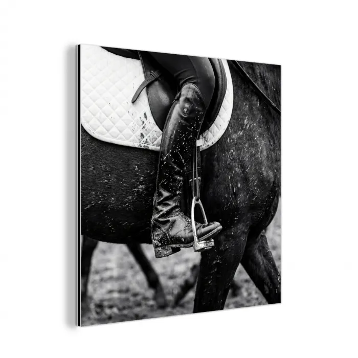 Paard - Sport - Zwart - Wit aluminium wit klein -3d