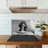 Poedel - Hond - Zwart - Wit - Schattig - Pasta keuken achterwand spatscherm klein -sfeer2