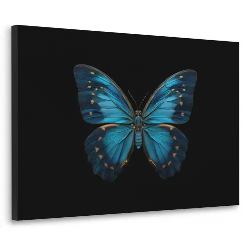 Vlinder - Blauw - Contrast Textielframe zwart klein -3d
