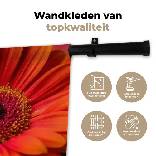 Oranje - Gerbera - Intens Wandkleed katoen klein -sfeer2