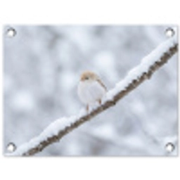 Vogeltje - Sneeuw - Tak - Winter - Zacht tuinposter los doek klein -3d