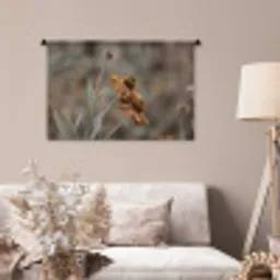 Zonnehoed - Droogbloemen - Geel - Warm Wandkleed katoen middel -sfeer4