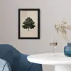 Eikenboom - Schaduw - Egaal fotolijst zwart zonder passe partout klein -sfeer4