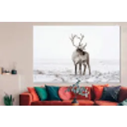 Rendier - Gewei - Sneeuw - Winter forex 5mm xxl -woonkamer