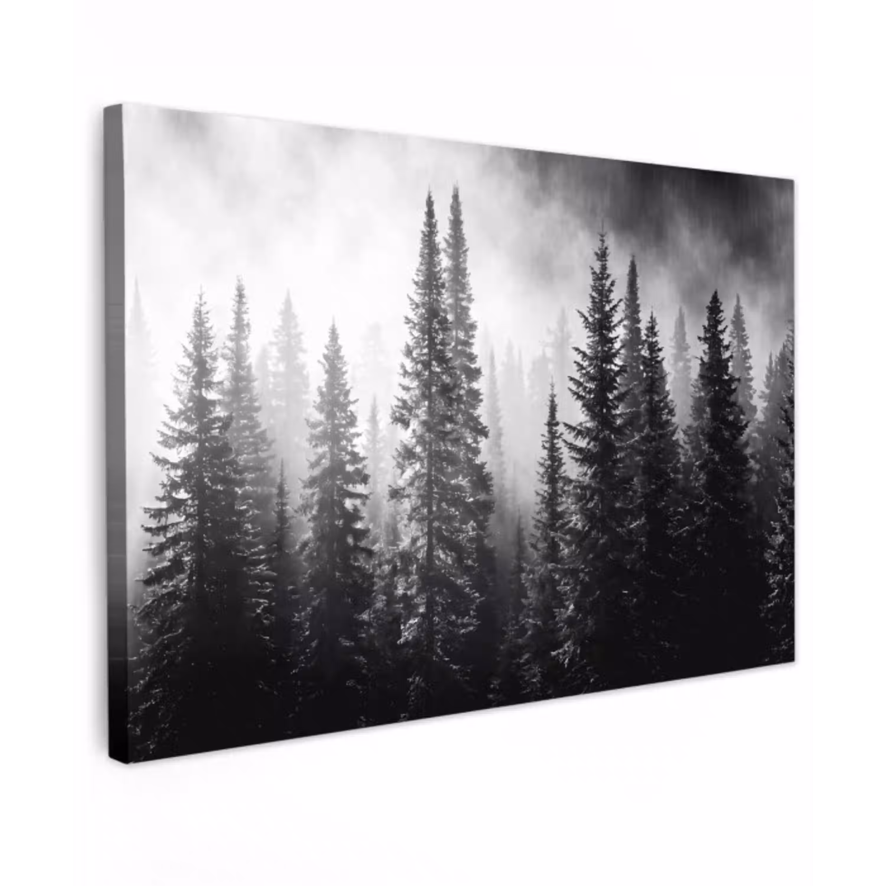 Bos - Mist - Winter - Monochroom - Natuur canvas 2cm klein -z3d