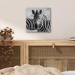 Zebra's - Zwart - Wit aluminium wit klein -sfeer3