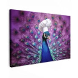 Pauw - Koksmuts - Cool - Paars Tuinposter op houten frame 2 cm dik klein -3d