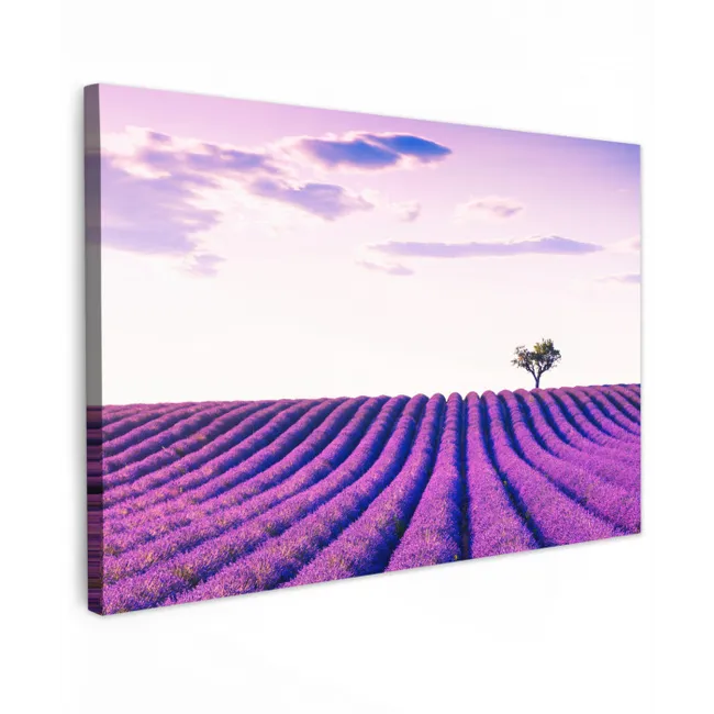 Lavendel - Bomen - Paars - Bloemen canvas 2cm klein -z3d