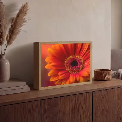 Oranje - Gerbera - Intens Light Box met batterij (Wandlamp) middel -sfeer2