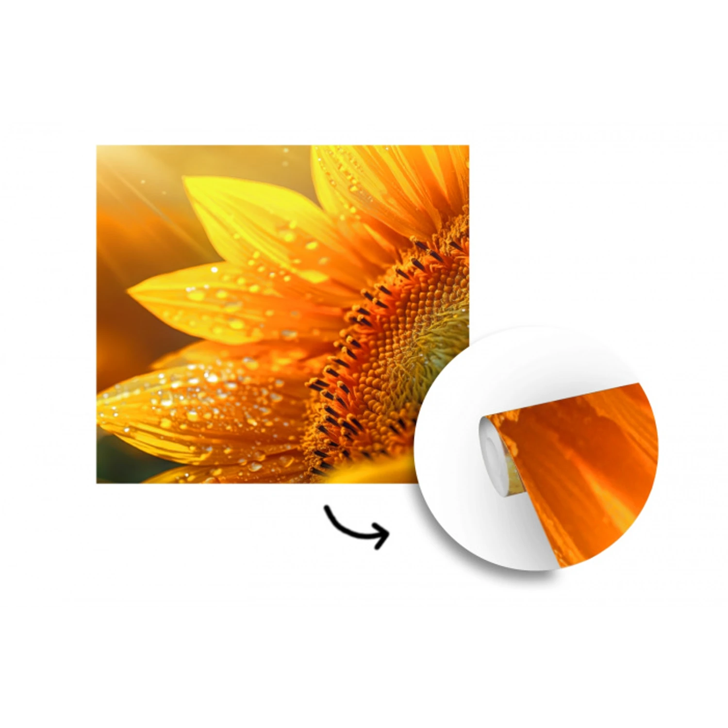 Zonnebloem - Dauwdruppels - Geel - Zonlicht fotobehang vinyl groot -3d