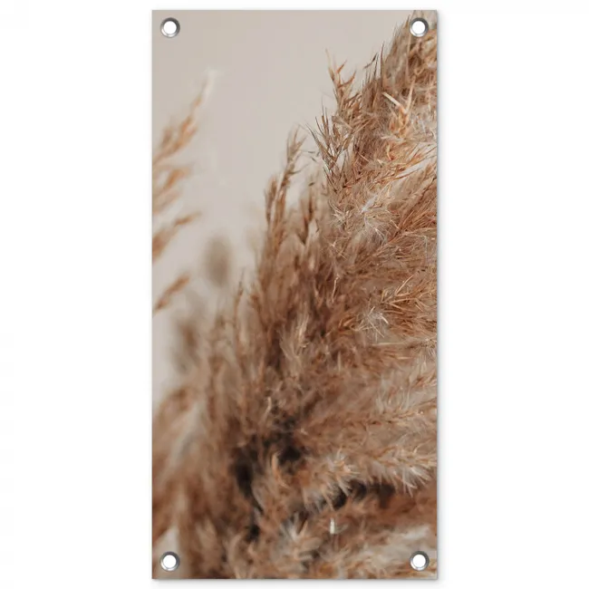 Gedroogd pampasgras dichtbij tuinposter los doek klein -3d