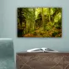 Bomen - Steen - Bos - Natuur - Planten canvas 2cm klein -sfeer4