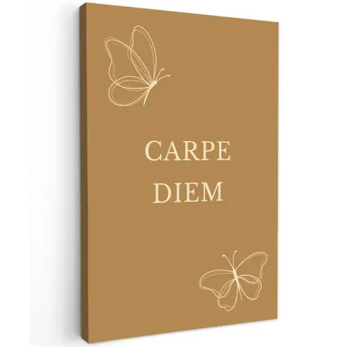 Carpe Diem met Vlinder Tuinposter op houten frame 2 cm dik klein -3d