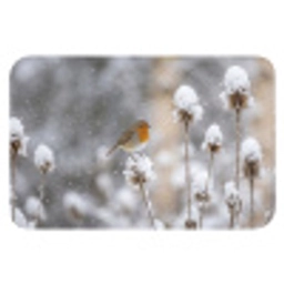 Roodborstje - Gedroogde bloem - Sneeuw - Winter - Vertederend Badmat klein -3d