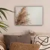 Gras - Planten - Natuur - Pampasgras canvas 2cm klein -sfeer1