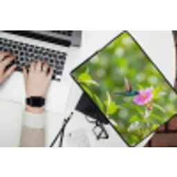 Kolibrie - Bloem - Natuur - Groen laptophoes neopreen klein -bureau