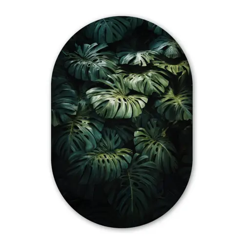 Plant - Monstera - Lichtinval Wandcirkel Ovaal Forex klein -3d