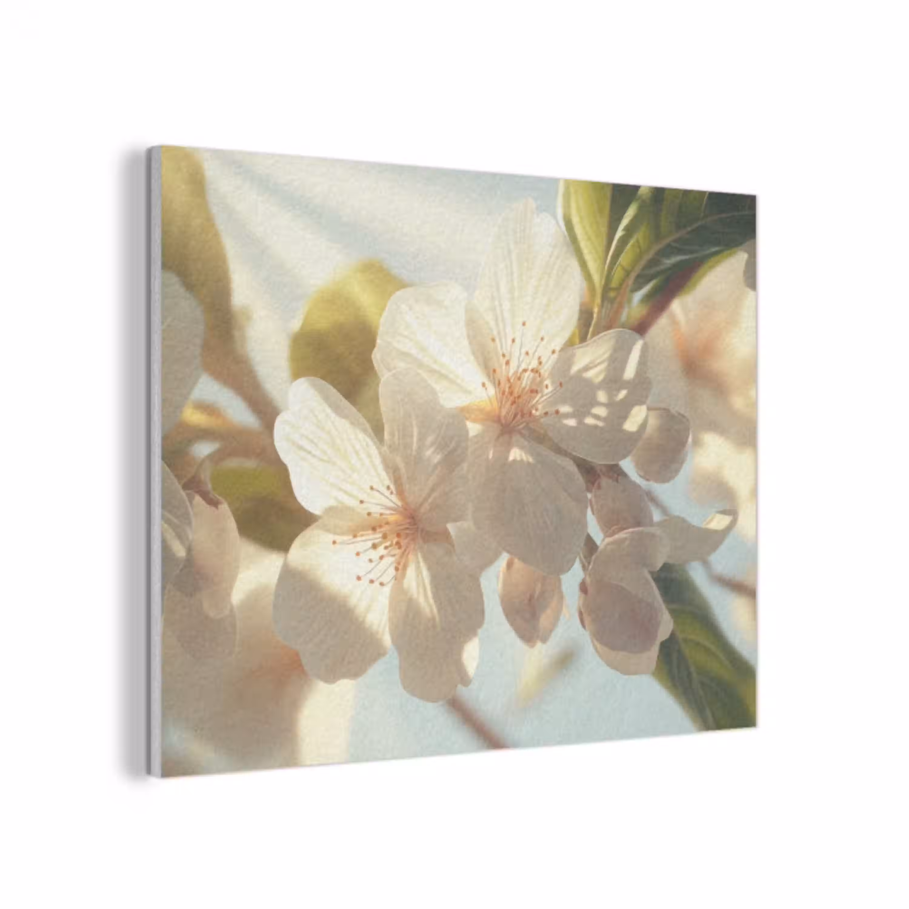 Bloesems - Wit - Zonnestralen -  Bloemblaadjes PET vilt klein -3d