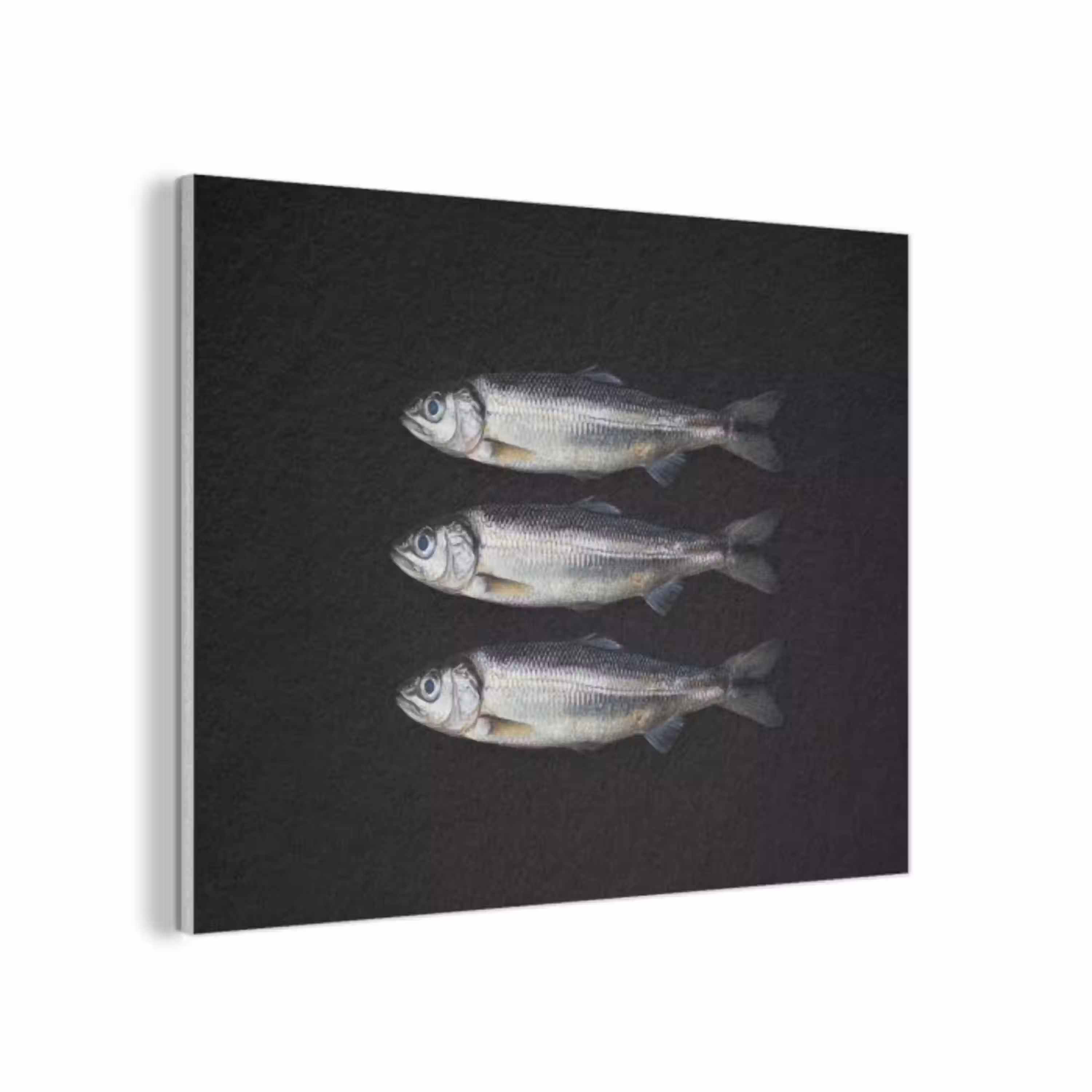 Haring - Vissen - Zwart PET vilt klein -3d